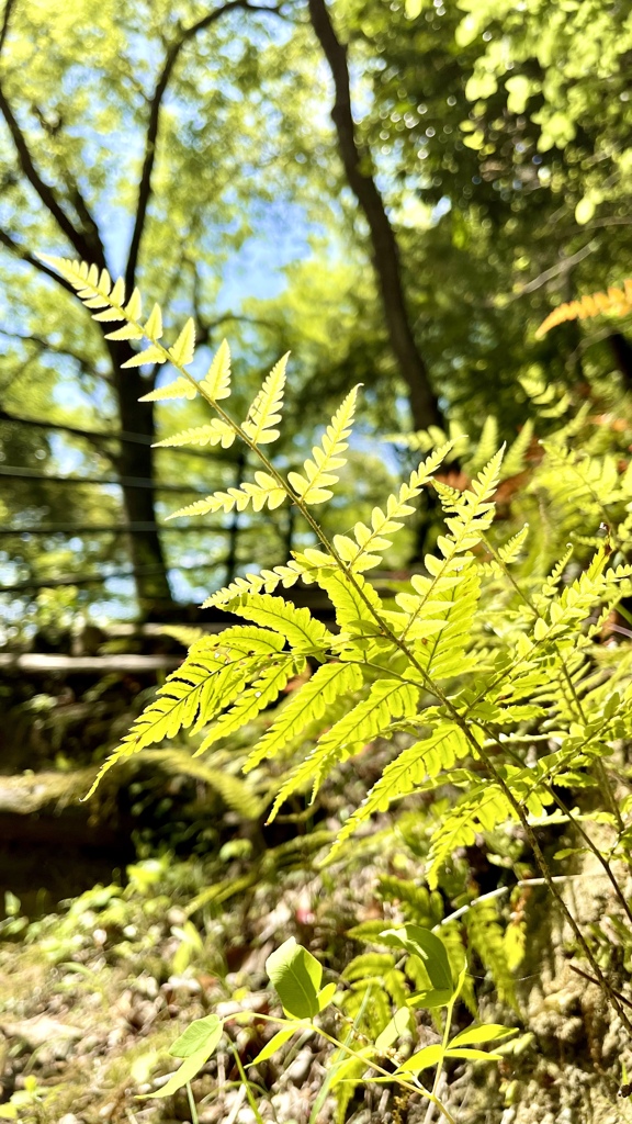 9D9CD0F5-38FA-40AD-ADFC-E58FBFE74142