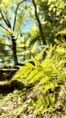 9D9CD0F5-38FA-40AD-ADFC-E58FBFE74142