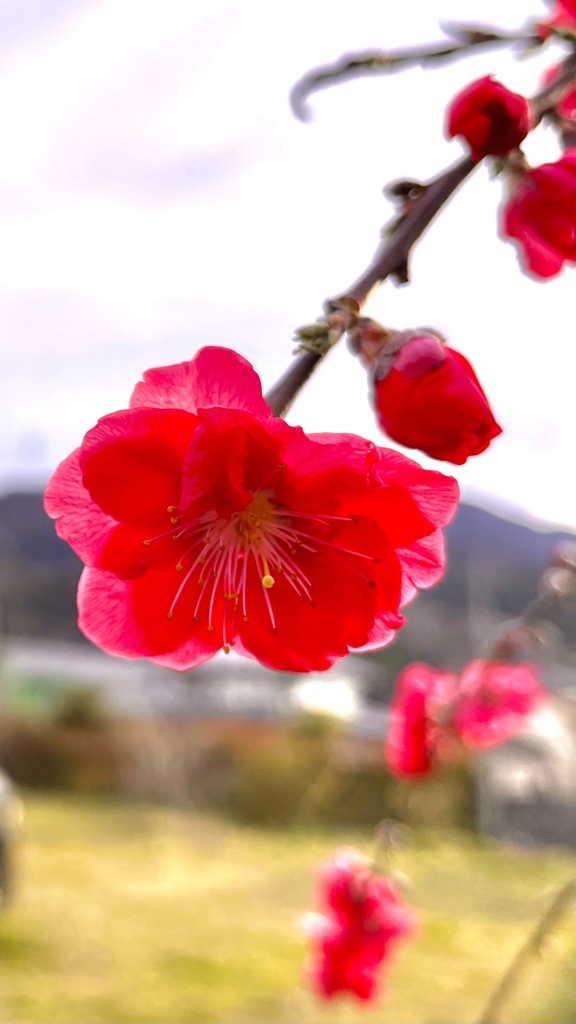 A2830550-70D8-40AE-B568-049F83AEC766