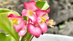 7EF1FA56-D156-44C3-AA00-FFD0FBE1367D