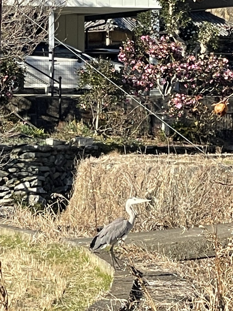 39DEAC5E-5CD5-471F-9A26-5809FEE31AE7