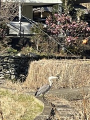 39DEAC5E-5CD5-471F-9A26-5809FEE31AE7