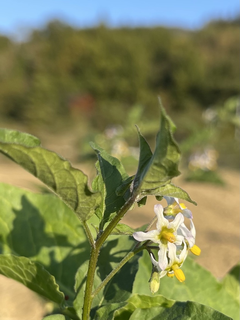 33200F95-A75A-4061-886F-3389D1FEF7A0