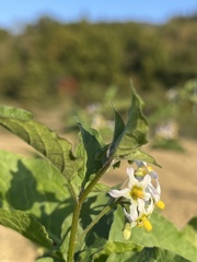 33200F95-A75A-4061-886F-3389D1FEF7A0