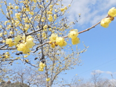 C6C10756-3BB1-4C86-AF69-EBFC8D141E46