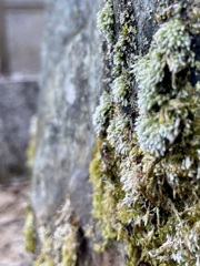 C8BBFDA7-CBF3-484D-A4E9-052F0994C542