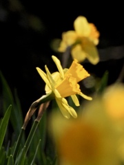 76BB105B-2D3D-49A1-932C-71C969EDDBD8