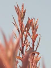 0B63DC4F-FD57-46F1-A857-9DF1A048B9B5