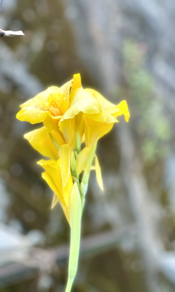 8C2DF282-FBC2-4E79-9BC0-9C3DD2A6AD9D