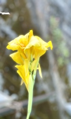 8C2DF282-FBC2-4E79-9BC0-9C3DD2A6AD9D