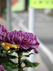 0FB58083-527C-47BA-A666-FEFB1447888C