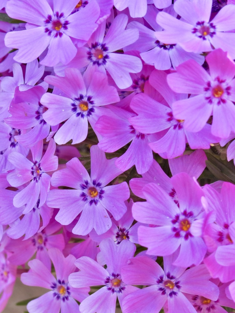 14D8D046-356B-4A56-B9E8-4D203EF5362A