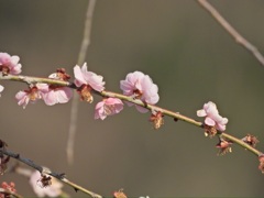 D9561214-19D0-4100-9A3B-E471DF9537D8