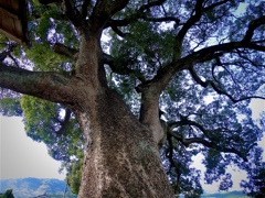 62B330A5-860D-4CE2-8BE3-FCA7733D3470