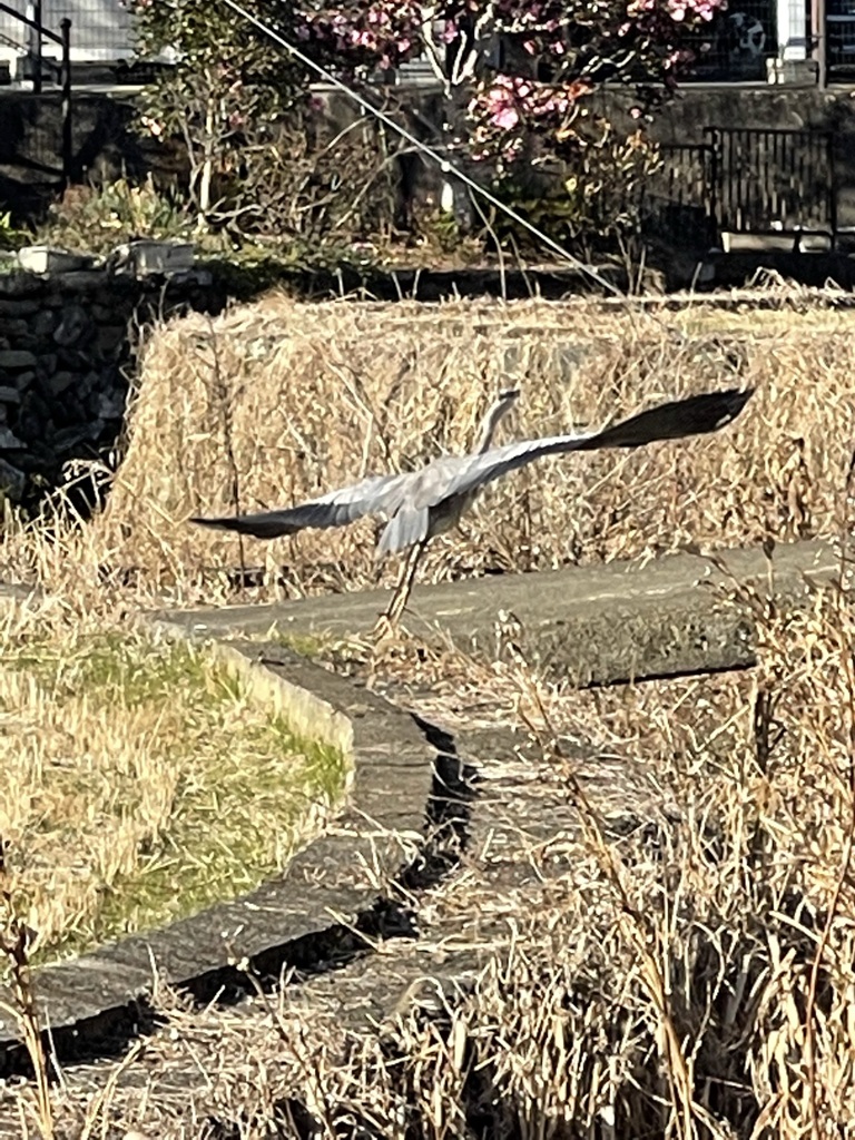 25E2CD40-166C-437E-A47C-05B48A988B6E