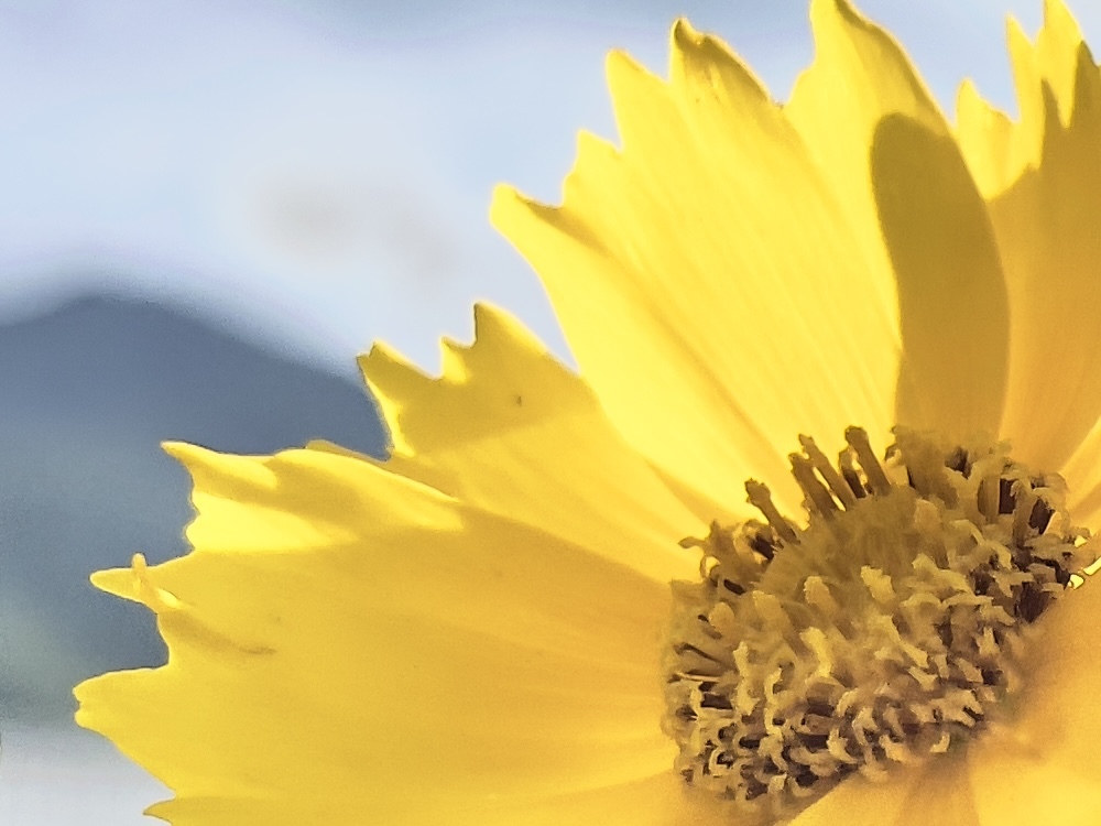 3CA1DA6D-4D9A-4260-8B42-E93A67EB6736