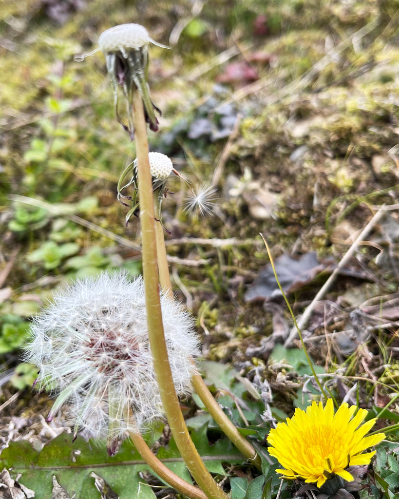 3D1BC950-B353-4BDE-8845-872444EEBBBF