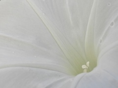 BB7225E7-2A8C-41E3-8C1B-6ED266D31C75