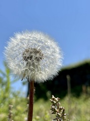 B8C02E91-094E-4B5A-8FA8-10BD39AF910D