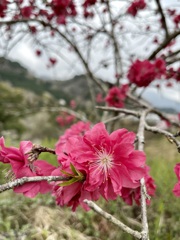 A8AEDDF3-9F9C-40DC-9092-85DF6208A1F6