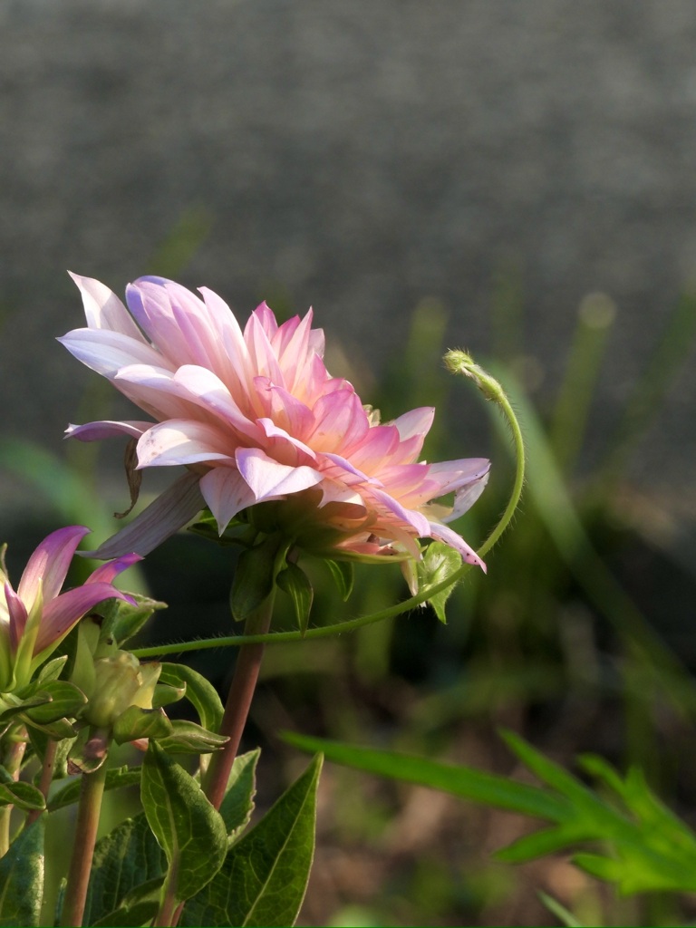 6D9BA0BA-EF53-4693-9953-0CC23B0B1F15