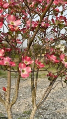 2F2B23E7-B914-47B3-9C87-62F0DECABA81