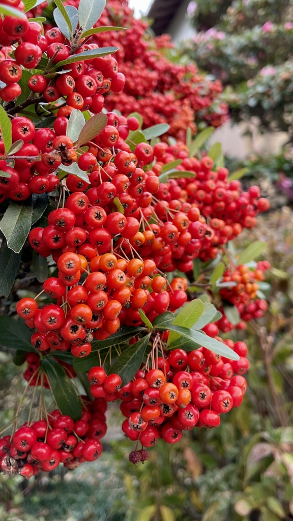 AF919516-3A4B-4D79-AEB1-60FA591451E3