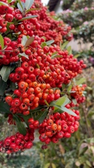 AF919516-3A4B-4D79-AEB1-60FA591451E3