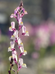 E4D8E9C9-2BC4-4568-8223-9BB35EBF8750