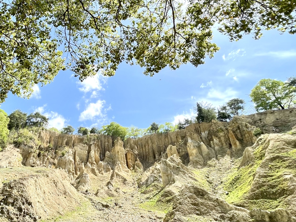 AAC88C72-4DAA-453F-8834-AFB29485CFDD