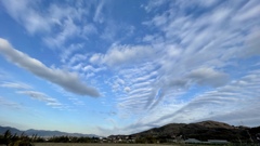 2F4D160E-0FD6-41E8-B1A4-42BCDAA9C6A9