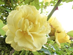 7692ECFD-8A29-4966-85BF-A3F0CA346808