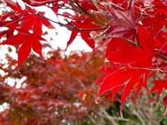 208EE793-DB68-424B-A76B-6D723168051C