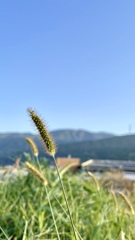 FFD8507D-464B-44D5-8D48-93AE1DC0BA82