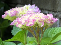 F6062630-96A5-4517-921B-E0F2449A95B2