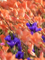 16760232-AB59-437C-B47B-2398E28EB6FE