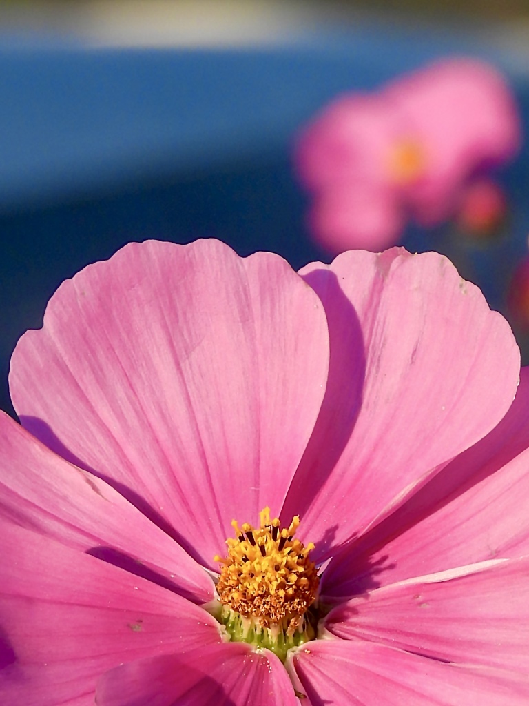 51E4A733-4CA1-421D-956D-EFBAE614CD40