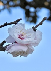 9D6C0699-869E-4ADD-842A-1743DB3BCBEC