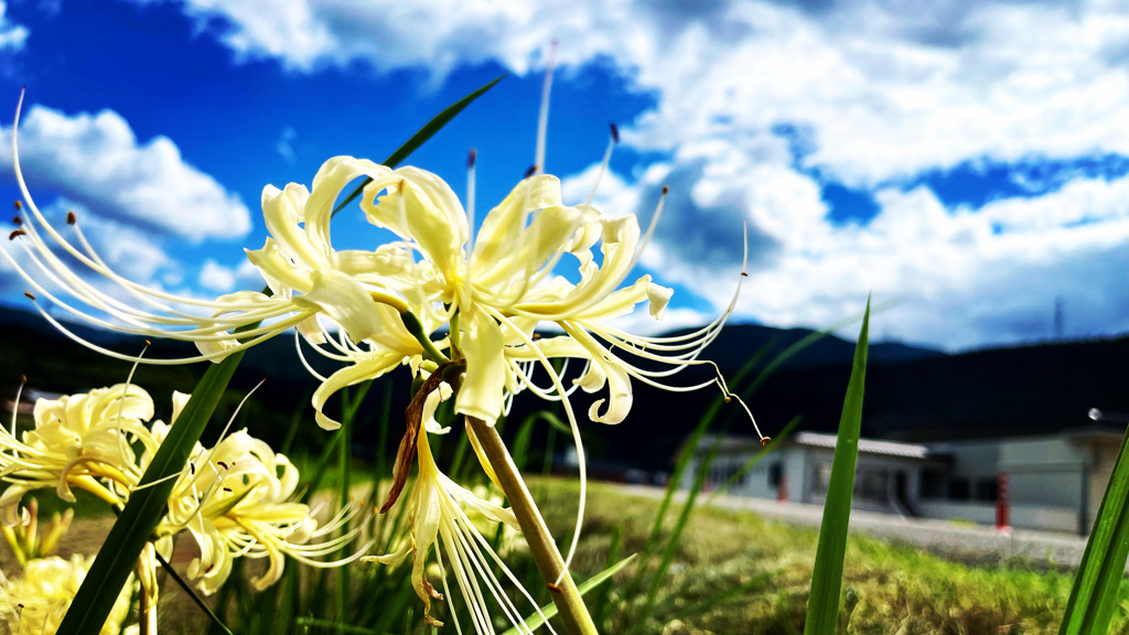 FBAC6452-130B-4296-ACD1-ED39095DBA3F