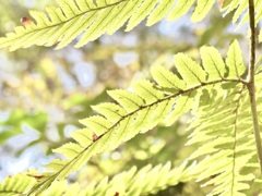 9E4448E7-835A-4553-8AAB-172FDE4ED5FE