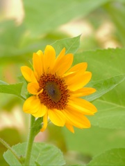 B0D4A07F-B38B-40E5-AB46-0898BDDF7060