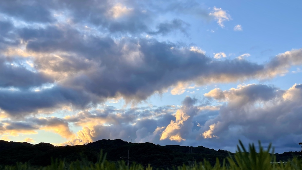 33BD2F69-7991-4539-B65C-FAEBF80BAEC7