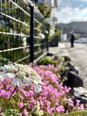 祖母とお散歩中に