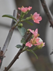 33C13208-DD5F-4DF7-9D75-DB13D6A10850
