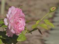 5F819D6E-8B45-48B7-A2C9-C911A3E92547