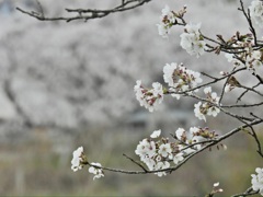 D9DBD5C2-54AC-4B63-90ED-4989EE27845F