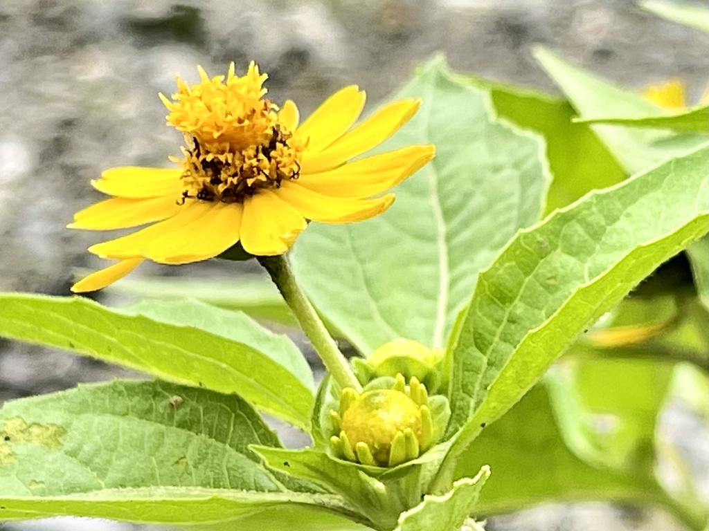 DBF2AF5A-6A2B-48AD-A422-0C6F0B0E3A9C