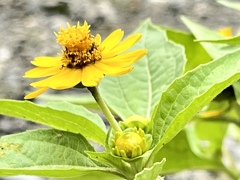 DBF2AF5A-6A2B-48AD-A422-0C6F0B0E3A9C