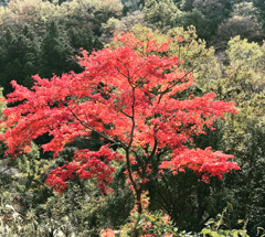 A0B8955F-E82D-49F2-BCB8-60EB79758994