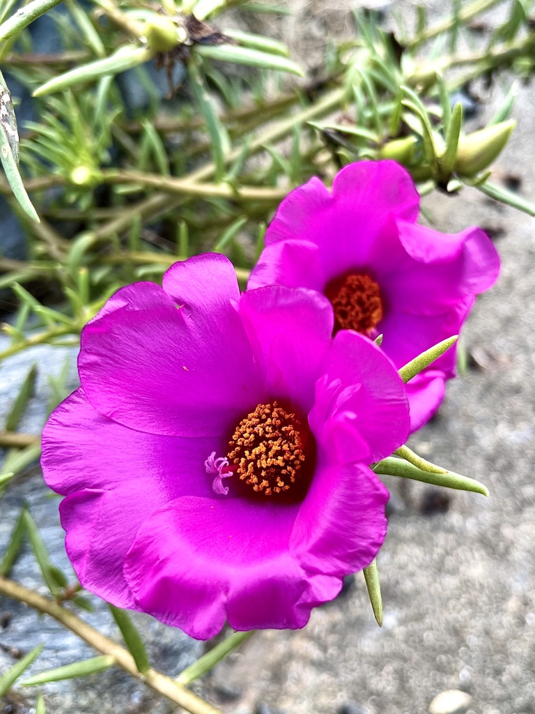 ABF422A9-22EF-45E9-953C-2FE11780C44F